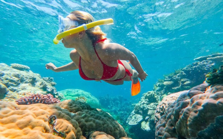 Reef Safety Essentials for Snorkelers
