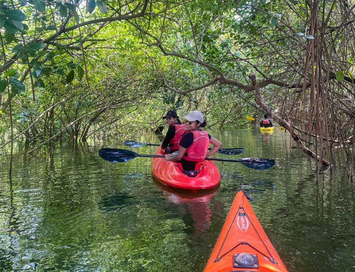 Kayak Expeditions Through Mangrove Forests