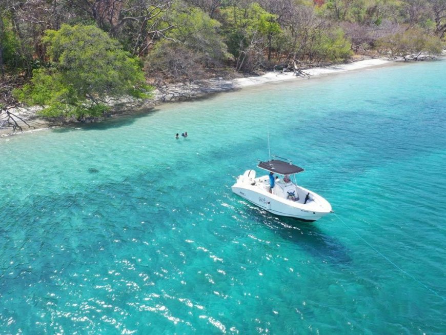 Best Fishing Charters for Beginners
