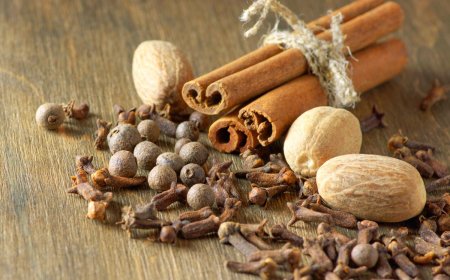 Cooking With Caribbean Spices: A Beginner’s Guide