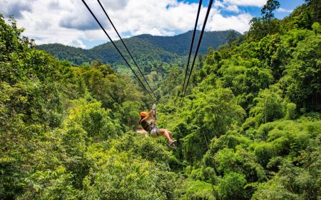 Top Zipline Adventure Parks in the Caribbean