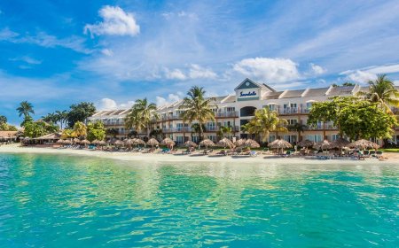 Best All-Inclusive Resorts for Vegans & Plant-Based Menus