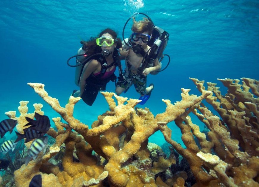 Caribbean Resorts With Complimentary Scuba Intro Sessions