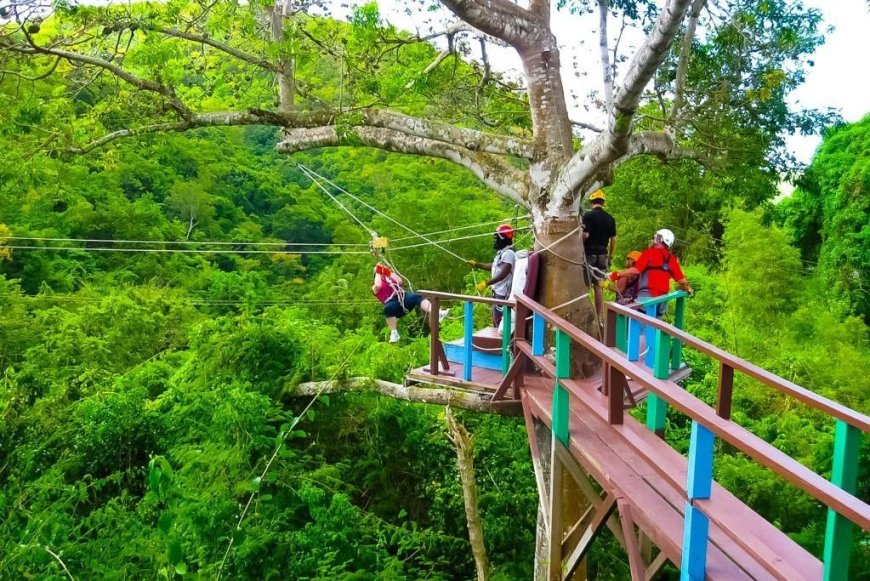 Top Zipline Adventure Parks in the Caribbean