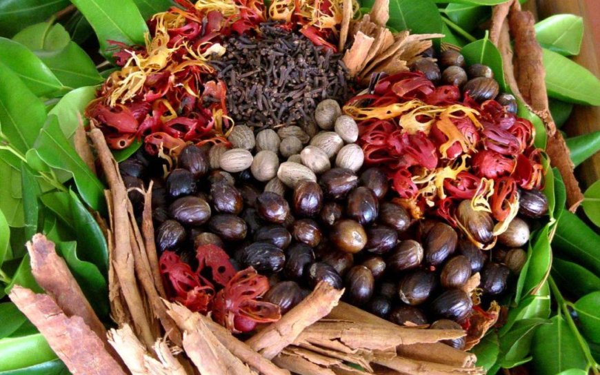 Must-Try Caribbean Street Sweets