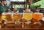 Caribbean Beers You Should Know
