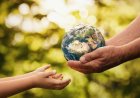 How Climate Risk Affects Property Values