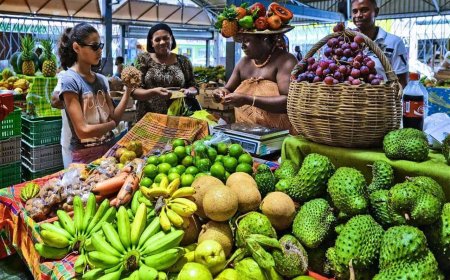 Caribbean Soursop: How Locals Use It in Cuisine