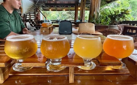 Caribbean Beers You Should Know
