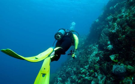 Underwater Photography Tips for Caribbean Waters