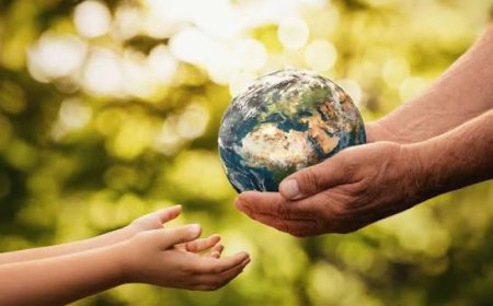 How Climate Risk Affects Property Values