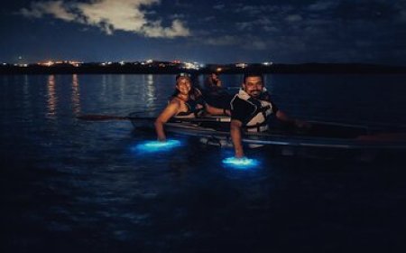 Night Bioluminescent Tours by Destination