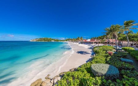 Pet-Friendly All-Inclusive Resorts in the Caribbean