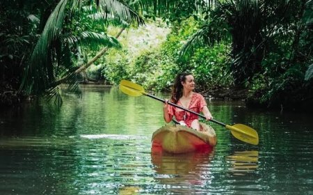 Eco-Tour Adventures in Caribbean Rainforests