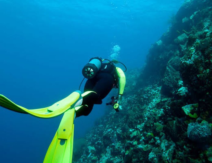 Underwater Photography Tips for Caribbean Waters