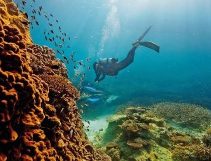 Resorts Offering Protected Coral Reef Tours