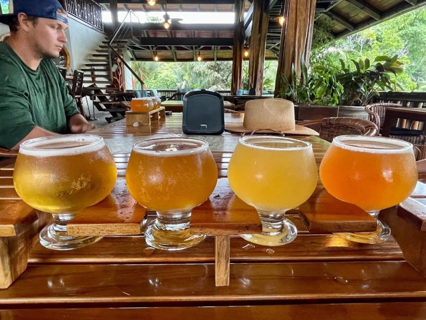 Caribbean Beers You Should Know