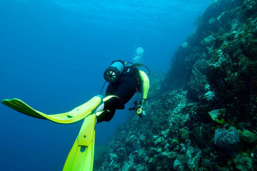 Underwater Photography Tips for Caribbean Waters