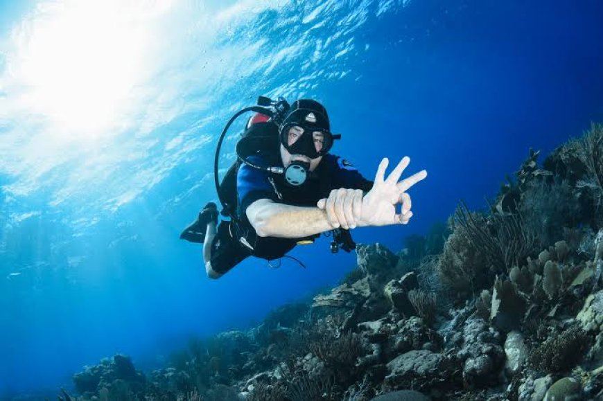 Underwater Photography Tips for Caribbean Waters