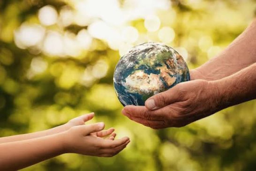 How Climate Risk Affects Property Values