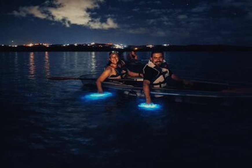 Night Bioluminescent Tours by Destination
