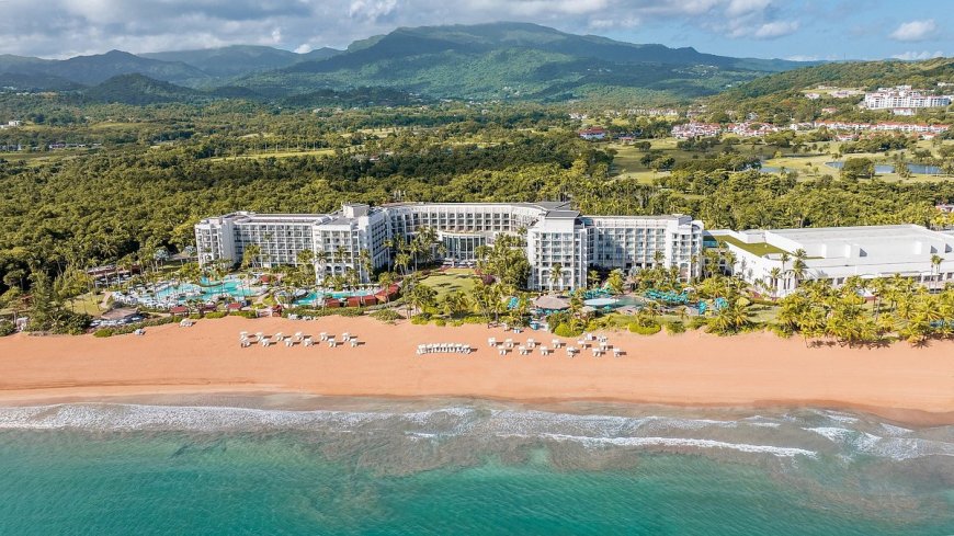 Pet-Friendly All-Inclusive Resorts in the Caribbean