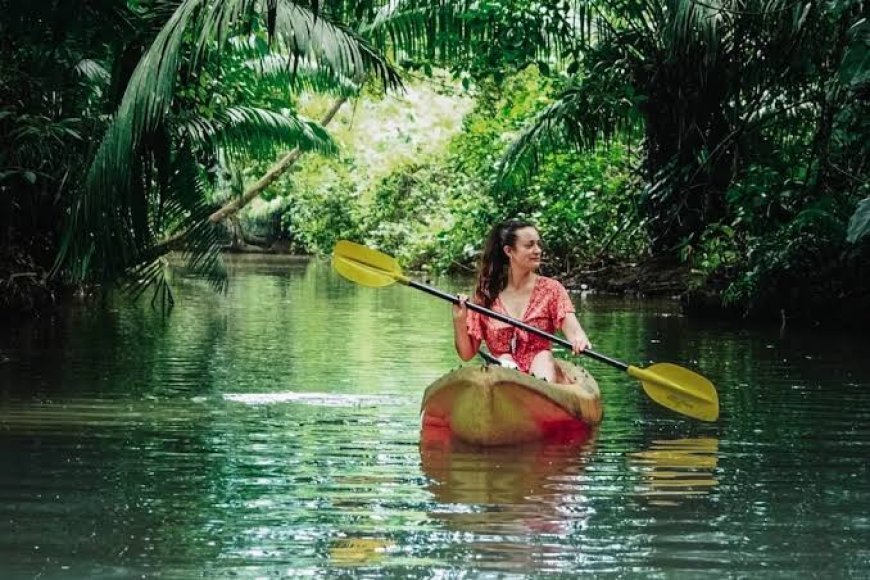 Eco-Tour Adventures in Caribbean Rainforests