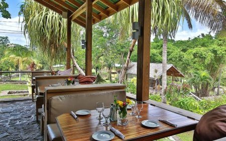 Best Farm-to-Table Spots in the Caribbean