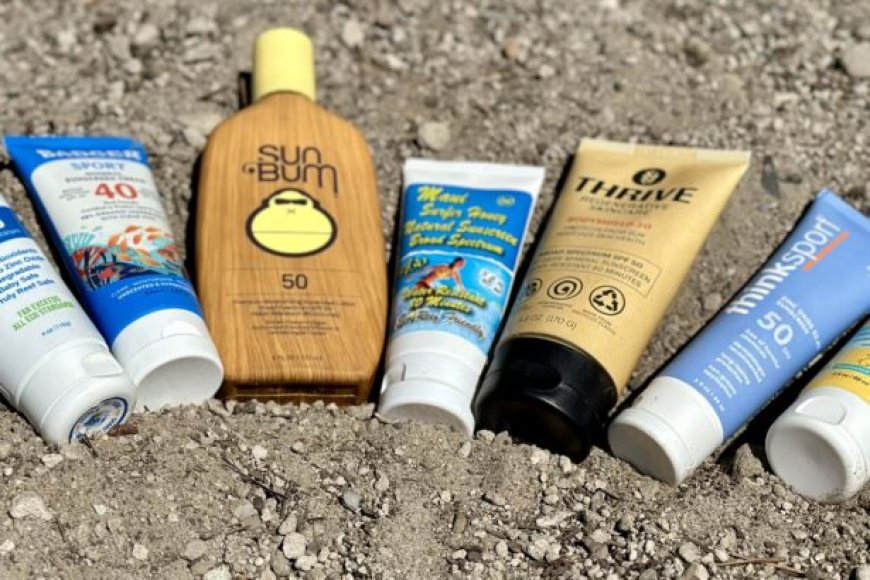 Sun Safety: Why You Need Reef-Safe Sunscreen (And Where It’s Mandatory).