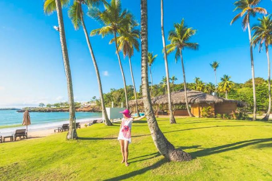 Retirement Planning: The Cost of Living for Expats in Panama vs. Costa Rica vs. Caribbean Islands.