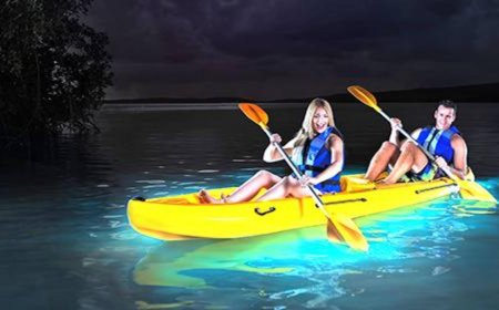 Night Kayaking: The Best Bioluminescent Bays in Puerto Rico.