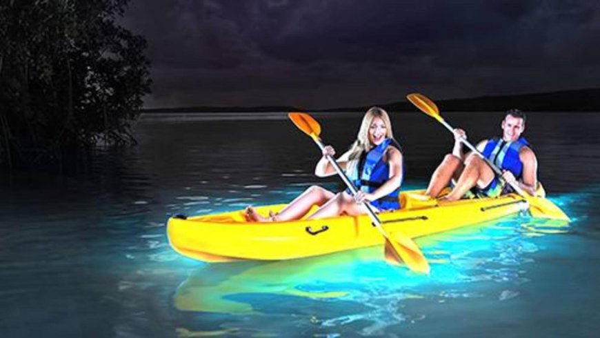 Night Kayaking: The Best Bioluminescent Bays in Puerto Rico.